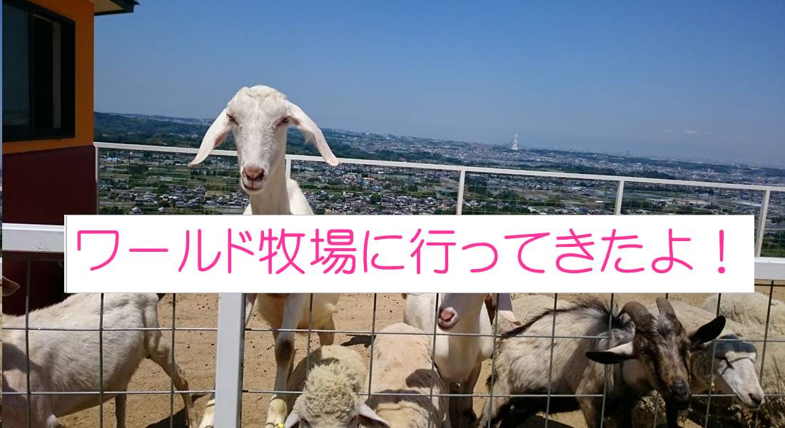 大阪 ワールド牧場で動物と触れ合おう だいふくママの子育てブログ